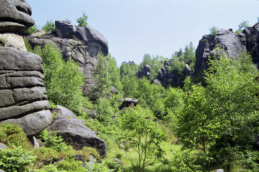 "Fox Gorge" - larger format