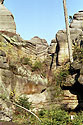 In the "Sand Gorge" - main link