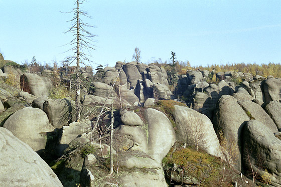 Tern nad Pskovou rokl - men formt