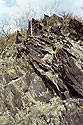 In precipices of "Krov valley" - main link