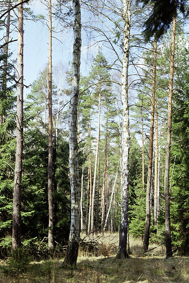 Slunen pohoda - men formt