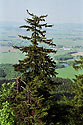 View to "Kinice" - main link