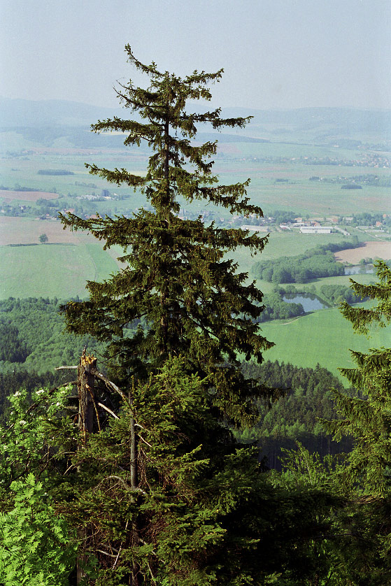 Pohled na Broumovsko - vt formt