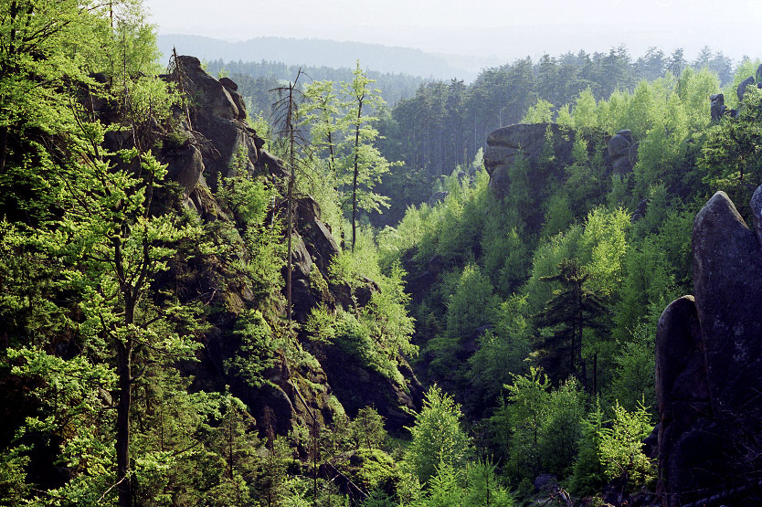 Gorge under "Sheepfold" - larger format