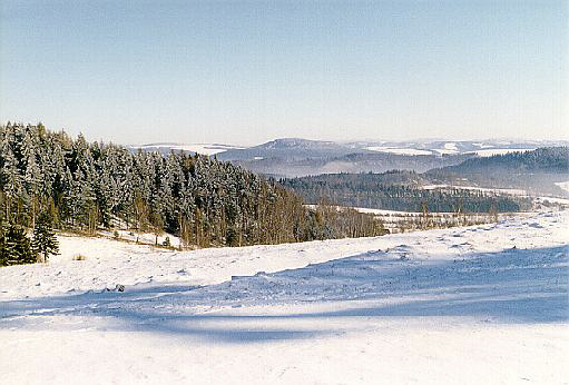 Pocukrovan Osta - men formt