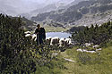 Pastorle u Muratova jezera - hlavn odkaz