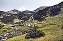 Valley near "Vichren" - main link