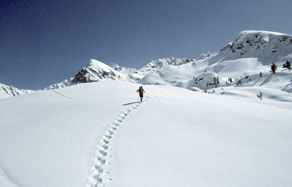 On the trail - larger format