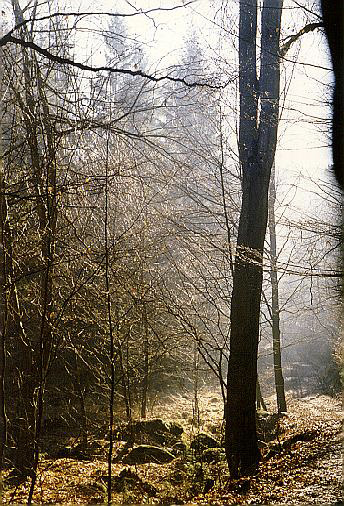 In haze - smaller format