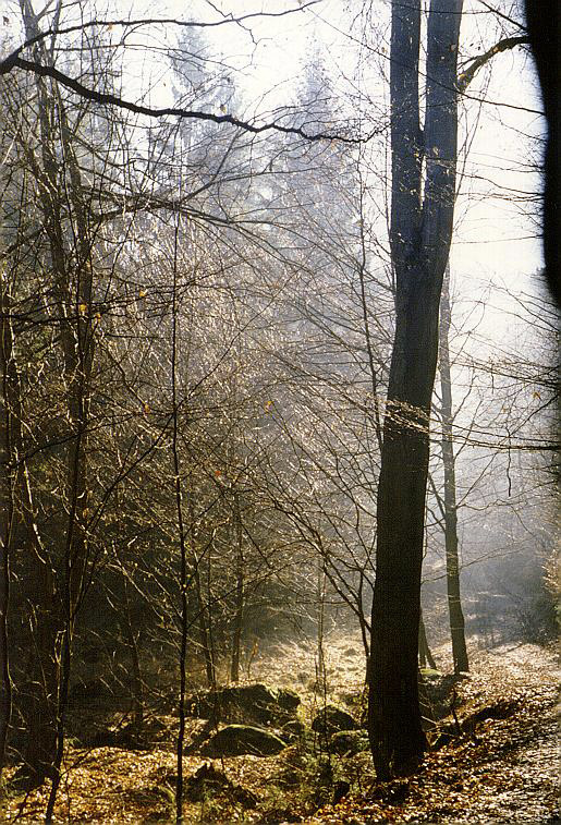 In haze - larger format
