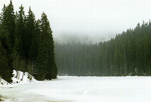 Jezero Laka - men formt