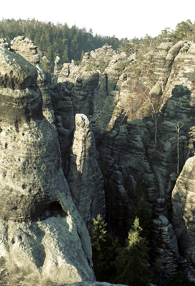 On "Sunny" pillar - smaller format
