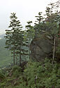 Over the "Hare Gorge" - main link