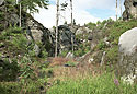 In the "Fox Gorge" - main link