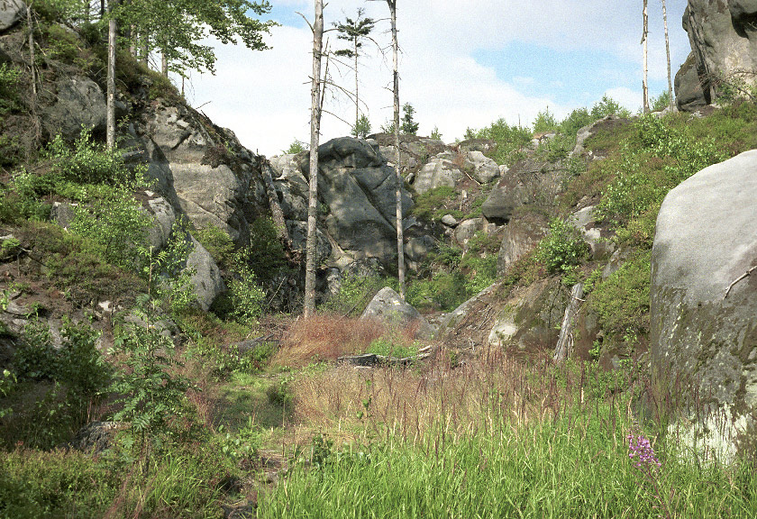 In the "Fox Gorge" - larger format