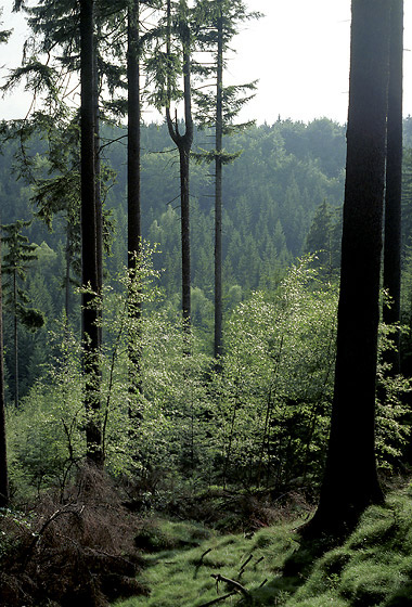 Below the "Star Chapel" - smaller format