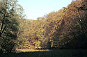 In "Vznice" valley - main link