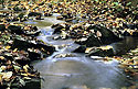 Gilded creek - main link