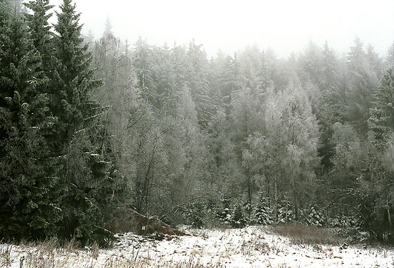 Ojnn vdsk vrch - men formt