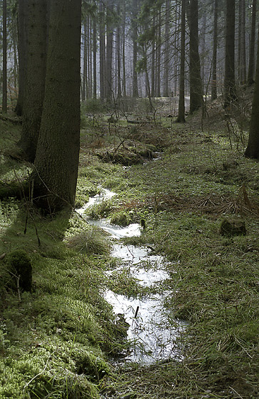 Icy stream - smaller format