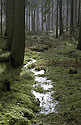 Icy stream - main link