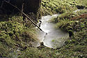 Icy stream - main link