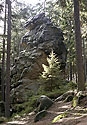 "Eagle-owl´s Gate" - main link