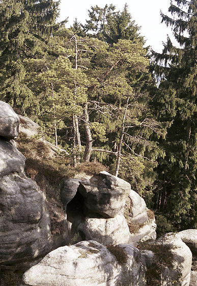 In the "Upper Labyrinth" - smaller format