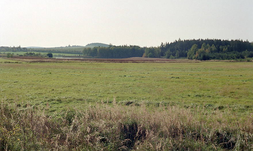 Louka nad rybnkem - vt formt