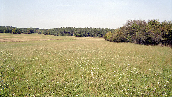 Louka nad rybnkem - men formt