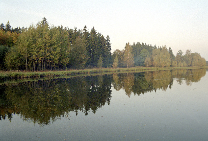 Sychrovsk rybnk - vt formt