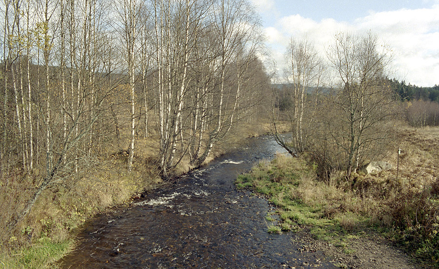 Vltava u Borovch Lad - vt formt