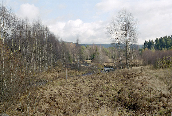 Vltava u Borovch Lad - men formt