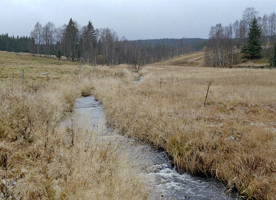 Vltava nad Kvildou - men formt