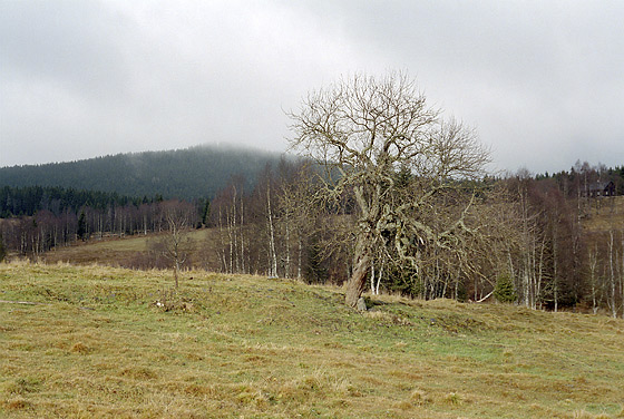 Near "Kvilda" - smaller format