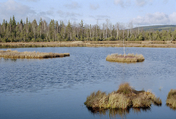 Chalupsk sla - men formt