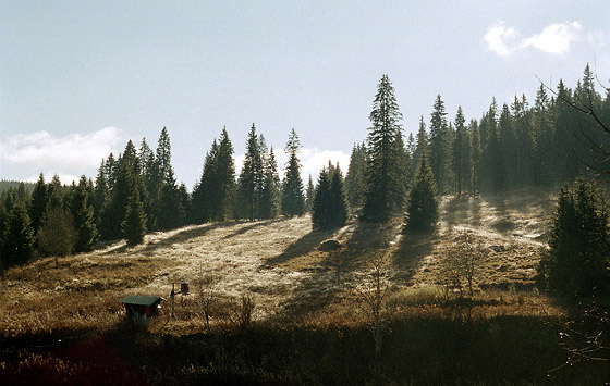 Near "Modrava" - smaller format