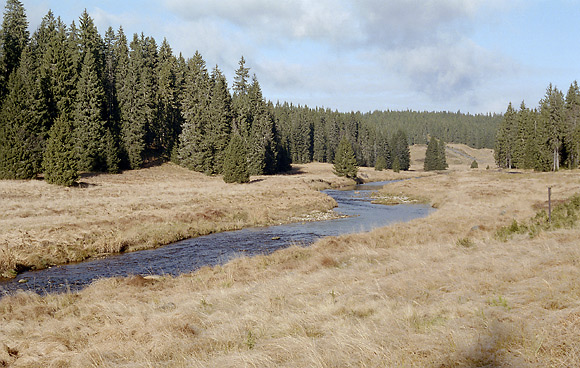 Roklansk potok - men formt