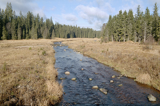 Roklansk potok - men formt