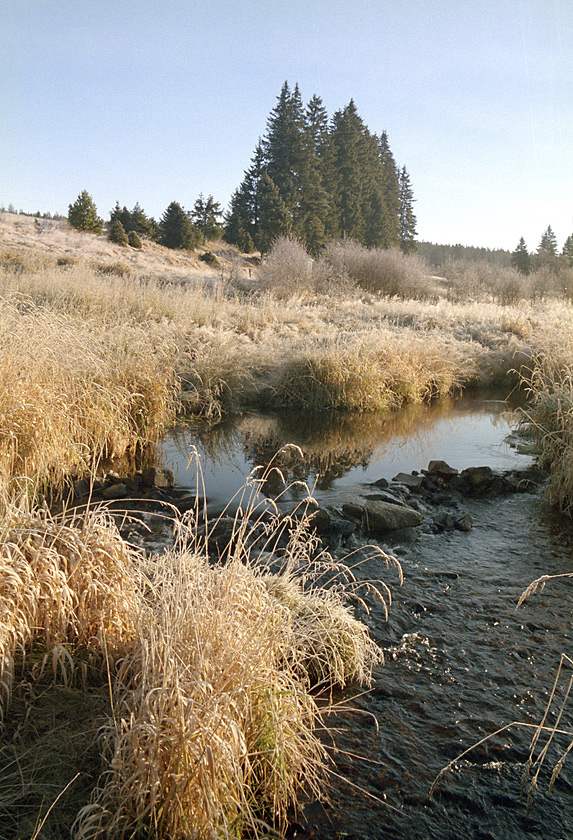 "Hammer" creek - larger format