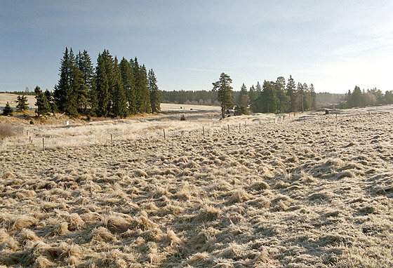 U Hamerskho potoka - men formt