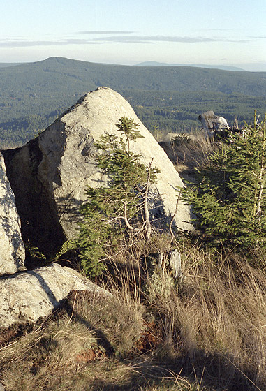 On the "Oblk" hill - smaller format