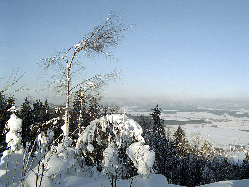 Vista - larger format