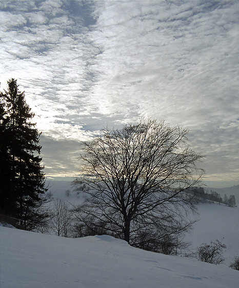 Mackerel sky - smaller format