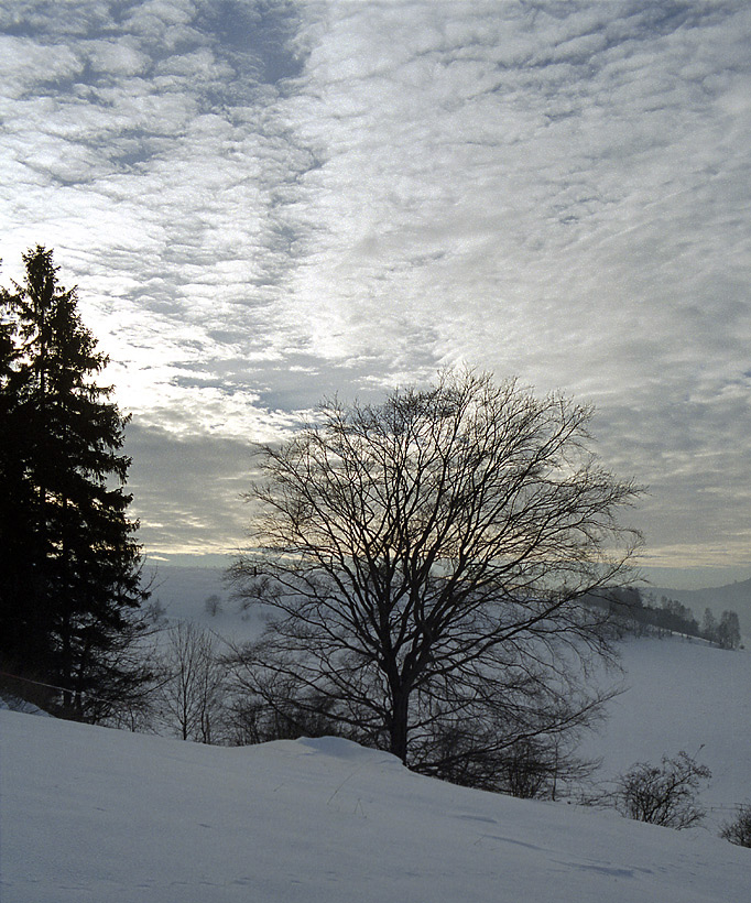 Mackerel sky - larger format
