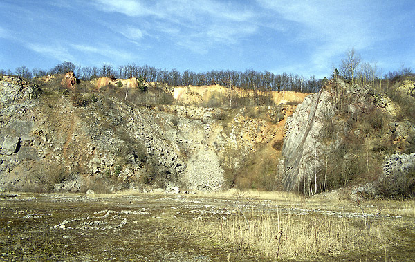 In the limestone quarry - smaller format