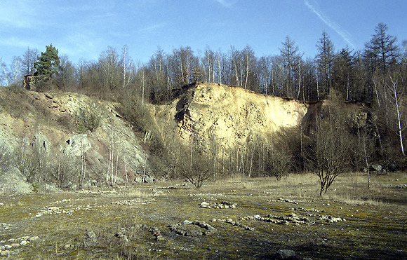 In the limestone quarry - smaller format