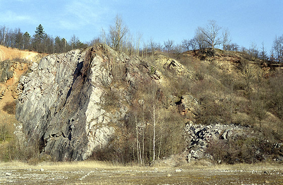 In the limestone quarry - smaller format