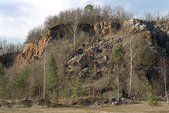In the limestone quarry - smaller format