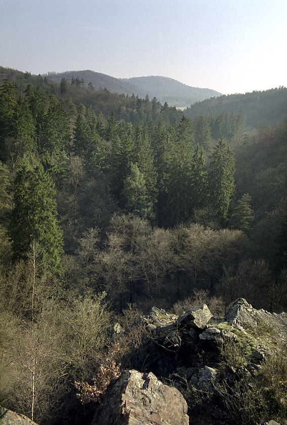 View to south - larger format